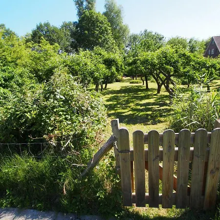 Haus Am Deich Villa Kollmar Buitenkant foto