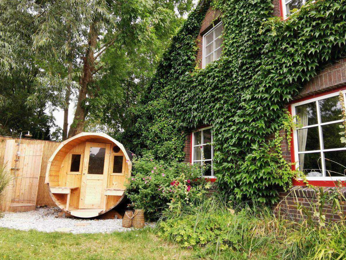 Haus Am Deich * Kollmar