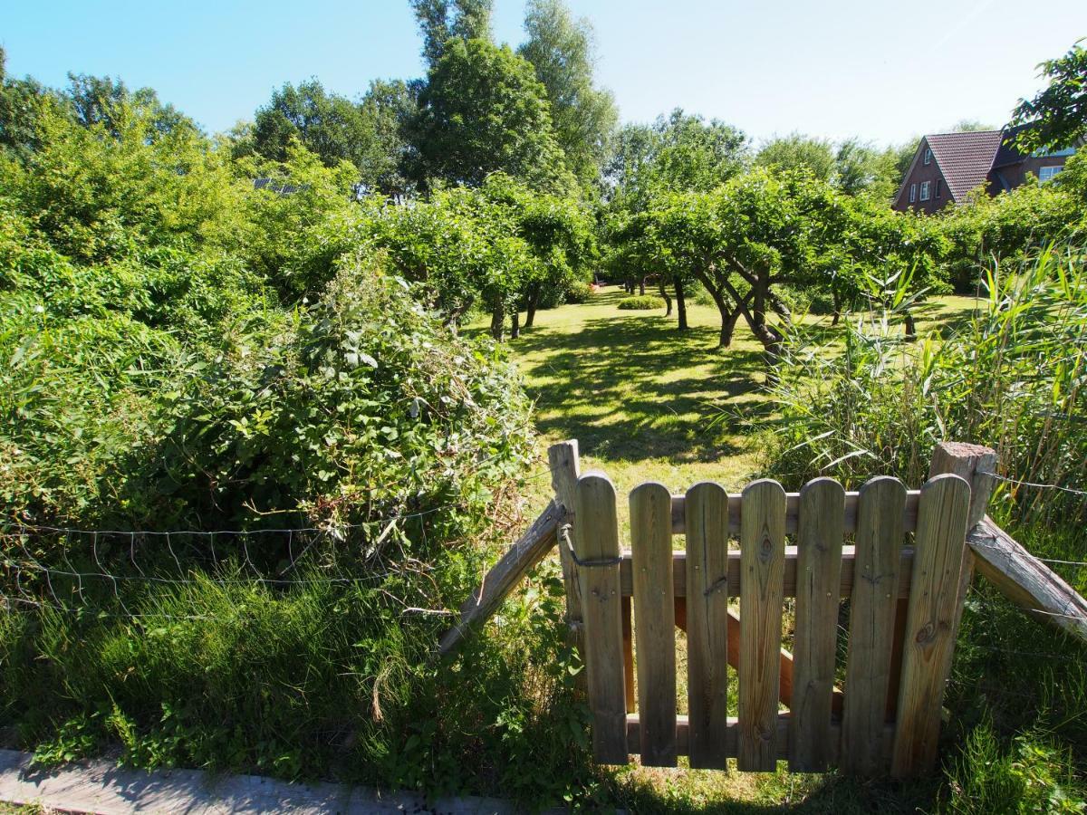 Haus Am Deich Holiday home *